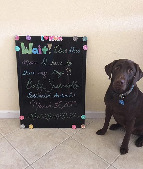 82582-creative-pregnancy-announcement-19.jpg
