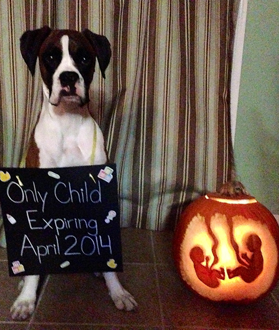 82619-creative-pregnancy-announcement-56.jpg