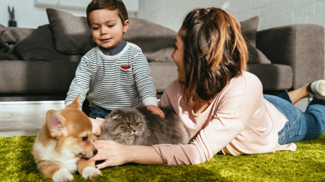 mom son dog cat