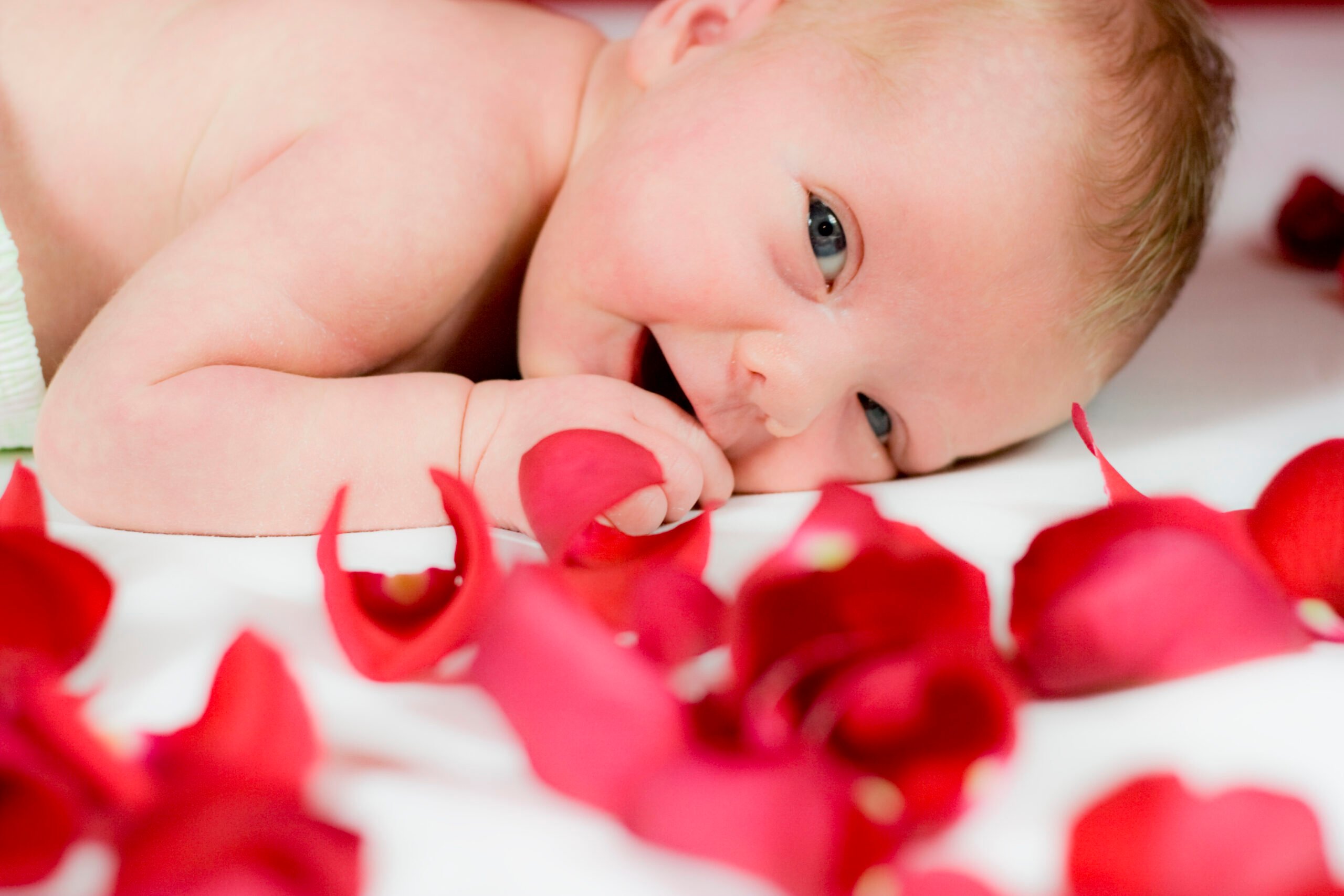Baby girl with red rose petals